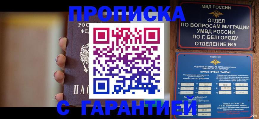 прописка для военкомата в Щёлково